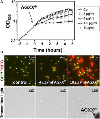 The AGXX® Antimicrobial Coating Causes a Thiol-Specific Oxidative Stress Response and Protein S-bacillithiolation in Staphylococcus aureus